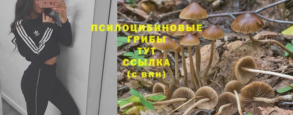 MDMA Горнозаводск