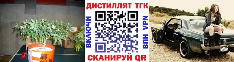 ТГК гашишное масло  купить закладку  Пудож 