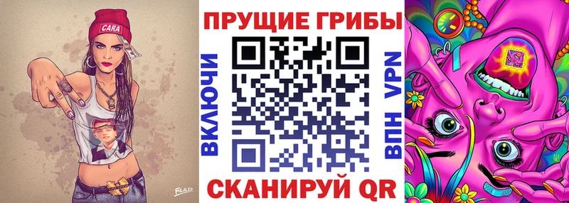 hydra сайт  Пудож  Псилоцибиновые грибы Psilocybe 